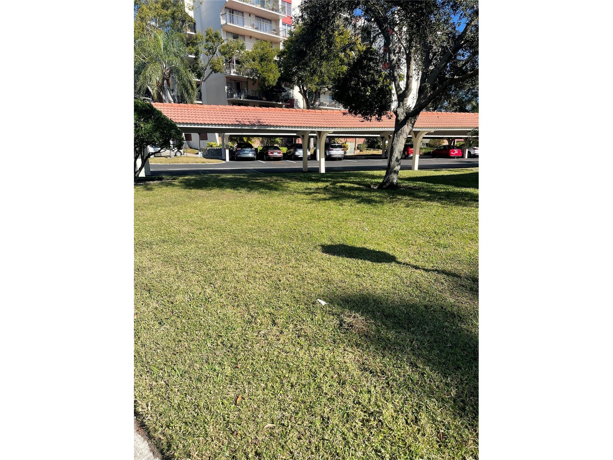 2650 Pearce Drive #309 Clearwater FL 33764 TB8466104 image6