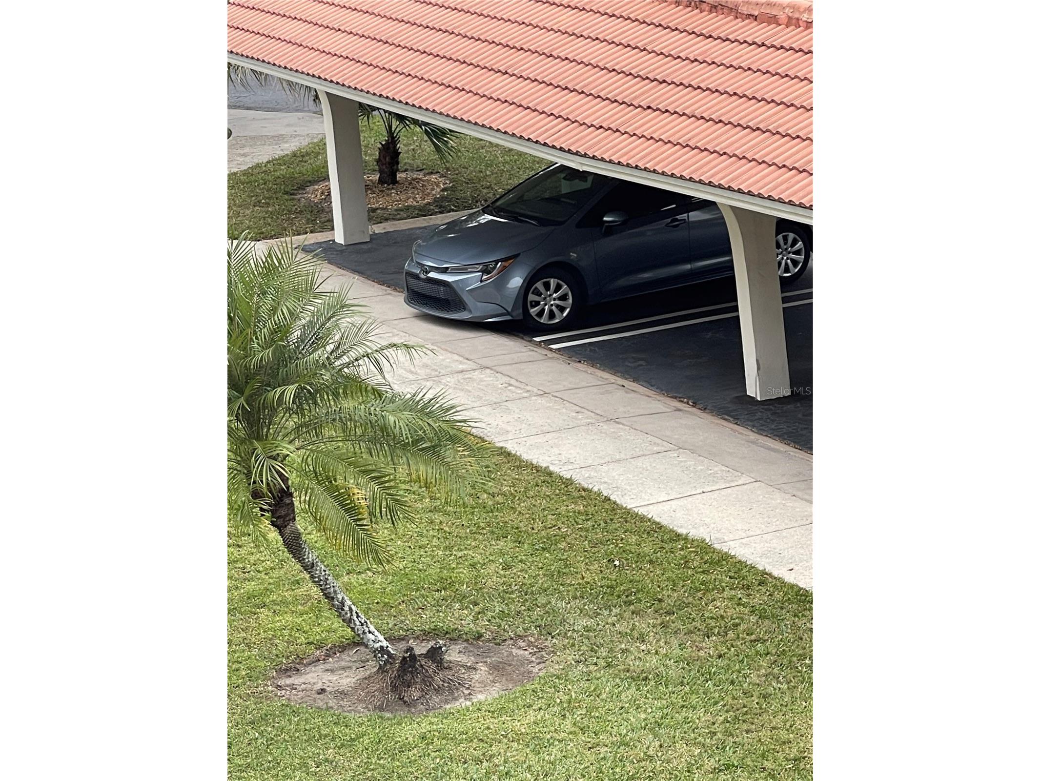 2650 Pearce Drive #309 Clearwater FL 33764 TB8466104 image7