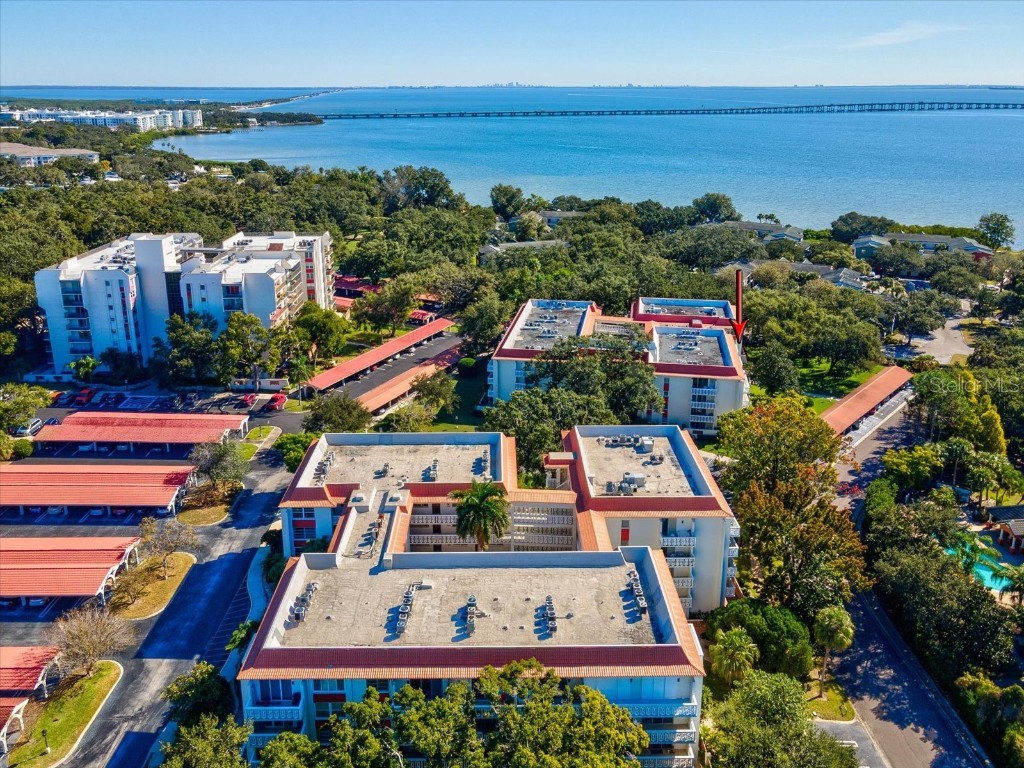 2650 Pearce Drive #403 Clearwater FL 33764 TB8447874 image1