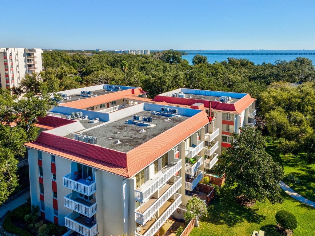 2650 Pearce Drive #403 Clearwater FL 33764 TB8447874 image3