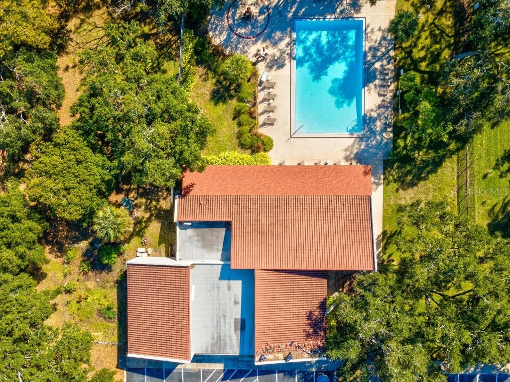 2650 Pearce Drive #403 Clearwater FL 33764 TB8447874 image35