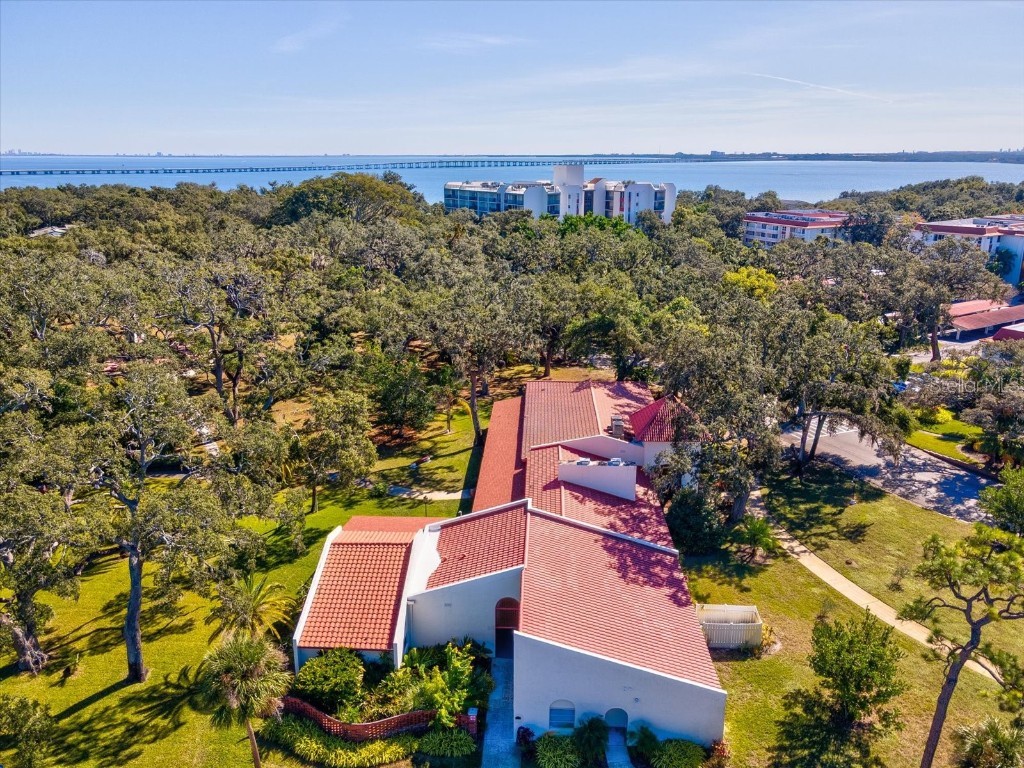 2650 Pearce Drive #403 Clearwater FL 33764 TB8447874 image37