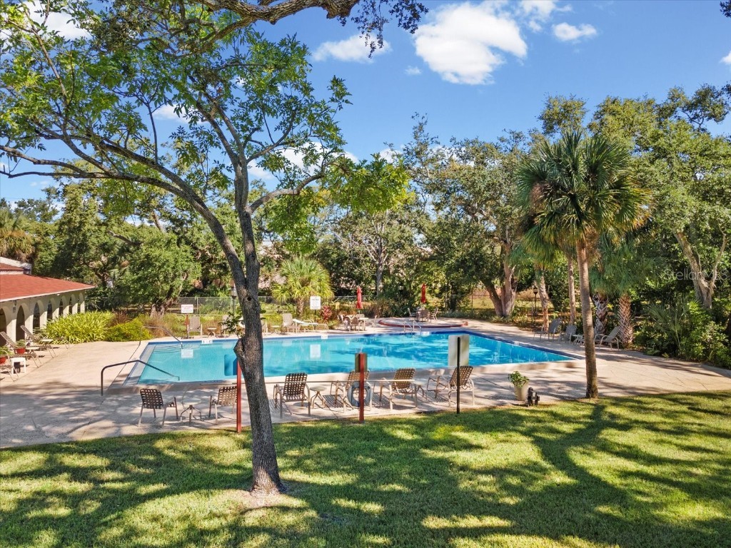 2650 Pearce Drive #403 Clearwater FL 33764 TB8447874 image40