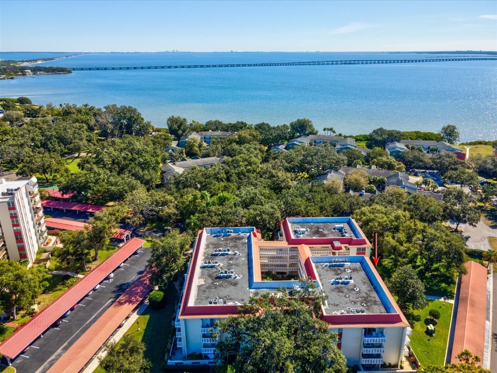 2650 Pearce Drive #403 Clearwater FL 33764 TB8447874 image43