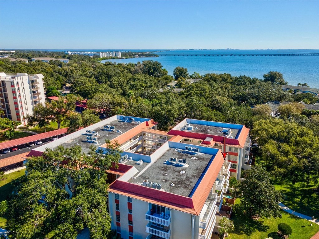 2650 Pearce Drive #403 Clearwater FL 33764 TB8447874 image44