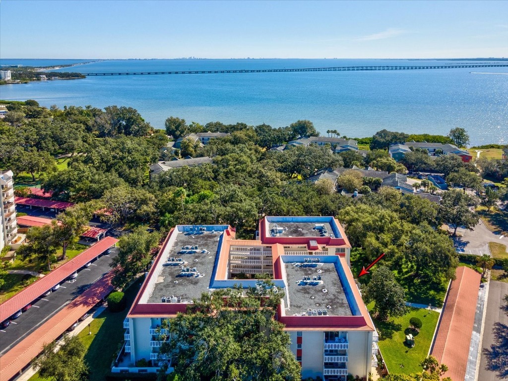 2650 Pearce Drive #403 Clearwater FL 33764 TB8447874 image45