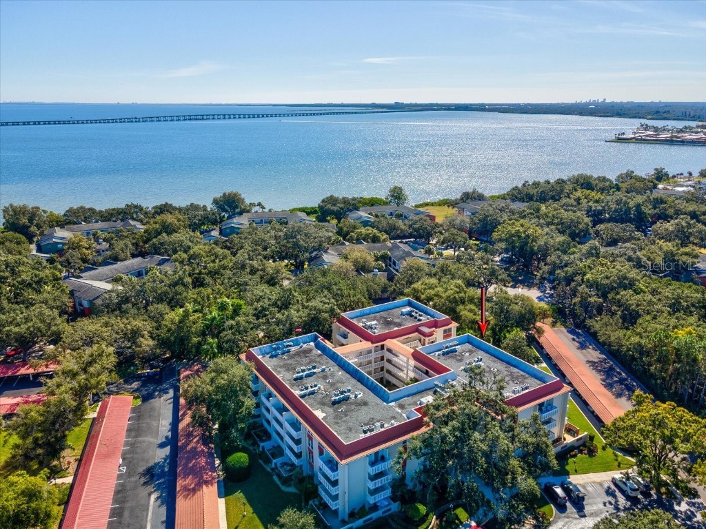 2650 Pearce Drive #403 Clearwater FL 33764 TB8447874 image46