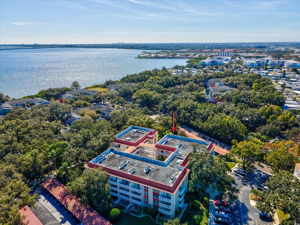 2650 Pearce Drive #403 Clearwater FL 33764 TB8447874 image47