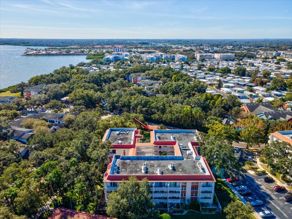 2650 Pearce Drive #403 Clearwater FL 33764 TB8447874 image48