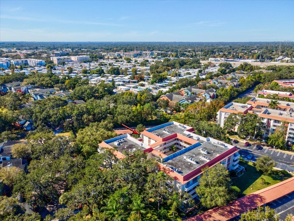 2650 Pearce Drive #403 Clearwater FL 33764 TB8447874 image49