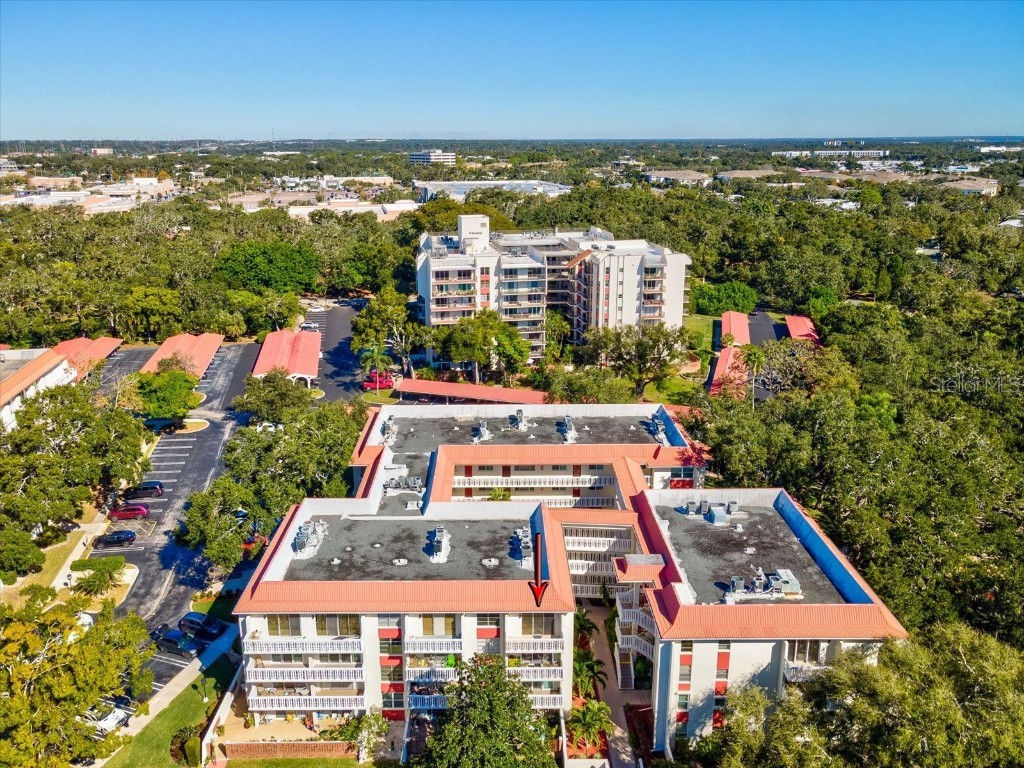 2650 Pearce Drive #403 Clearwater FL 33764 TB8447874 image52