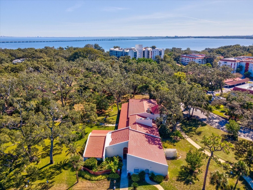 2650 Pearce Drive #403 Clearwater FL 33764 TB8447874 image53