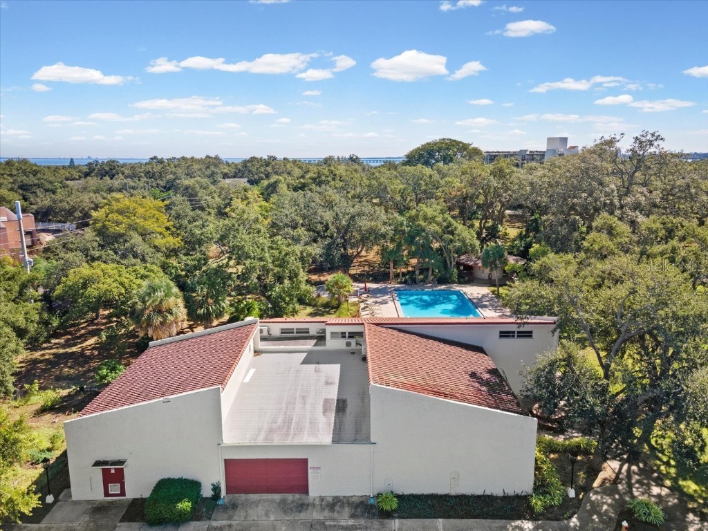 2650 Pearce Drive #403 Clearwater FL 33764 TB8447874 image55