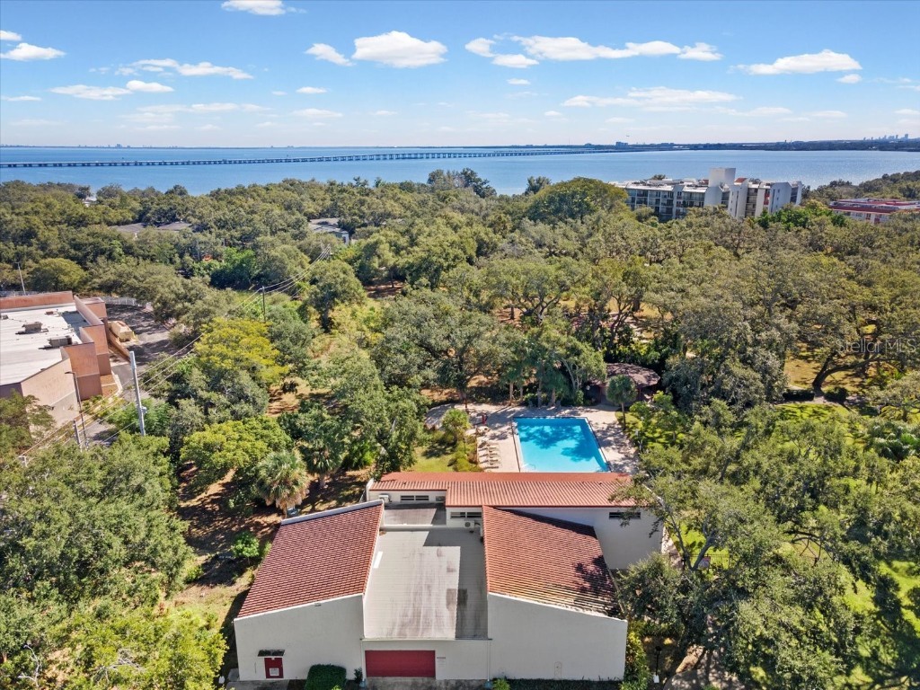 2650 Pearce Drive #403 Clearwater FL 33764 TB8447874 image56