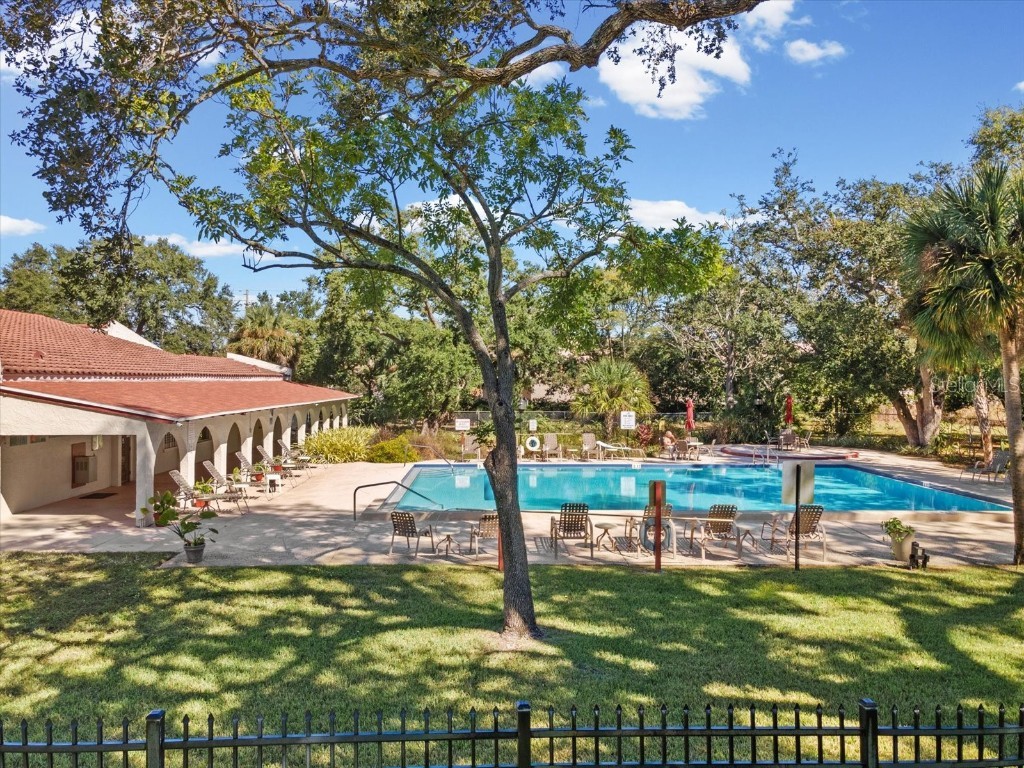 2650 Pearce Drive #403 Clearwater FL 33764 TB8447874 image6