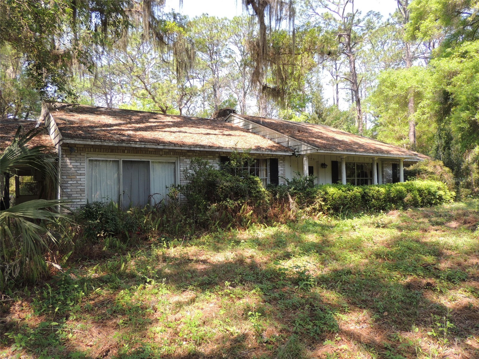 2650 SE Highway 41 Morriston FL 32668 OM722593 image1
