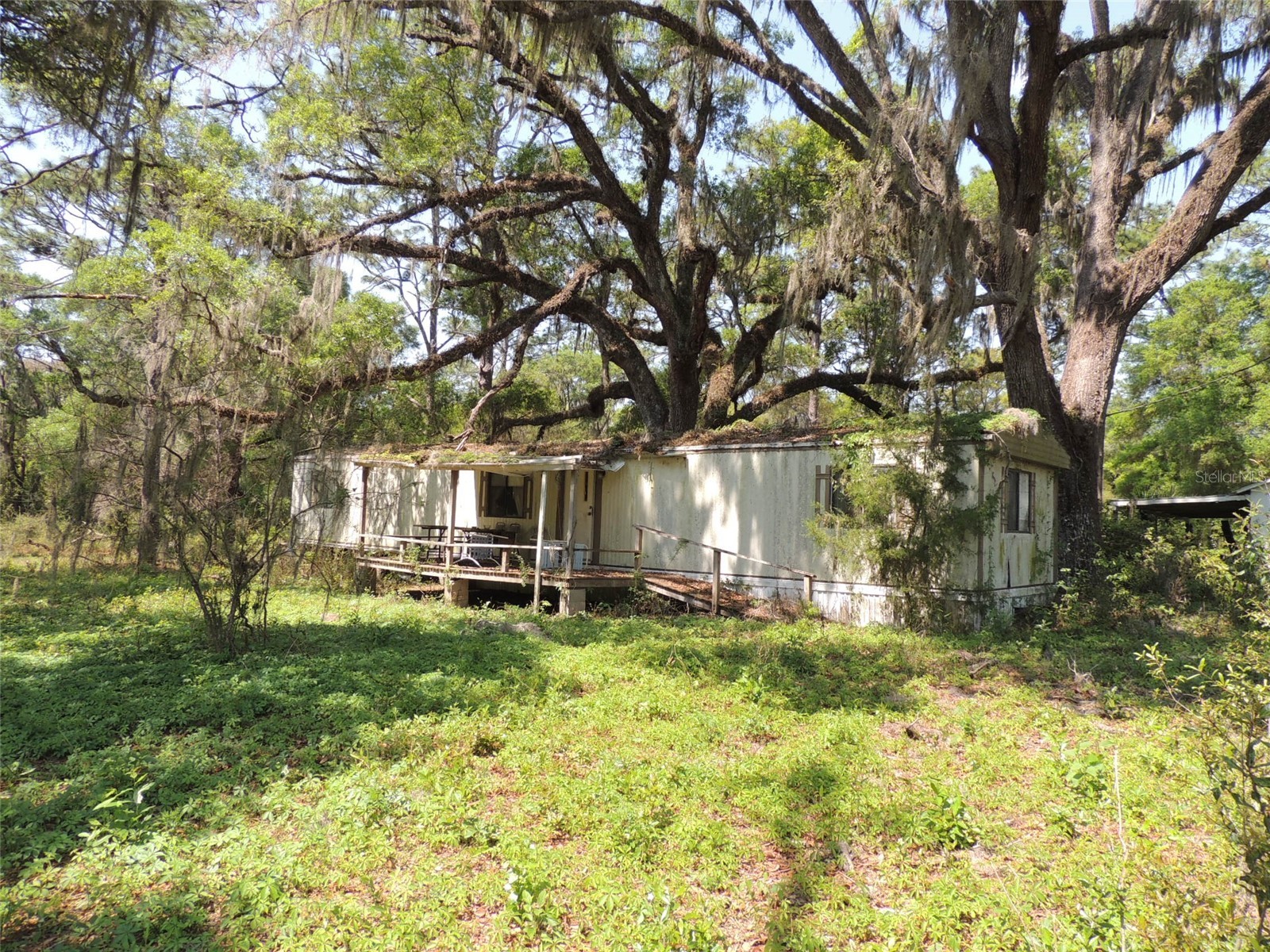 2650 SE Highway 41 Morriston FL 32668 OM722593 image17