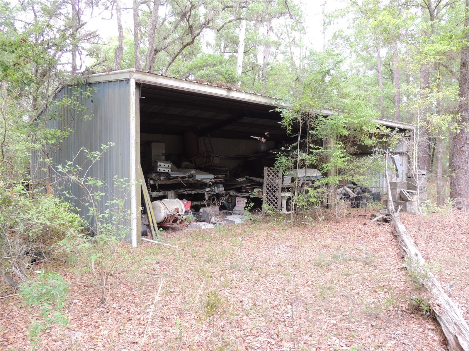 2650 SE Highway 41 Morriston FL 32668 OM722593 image18