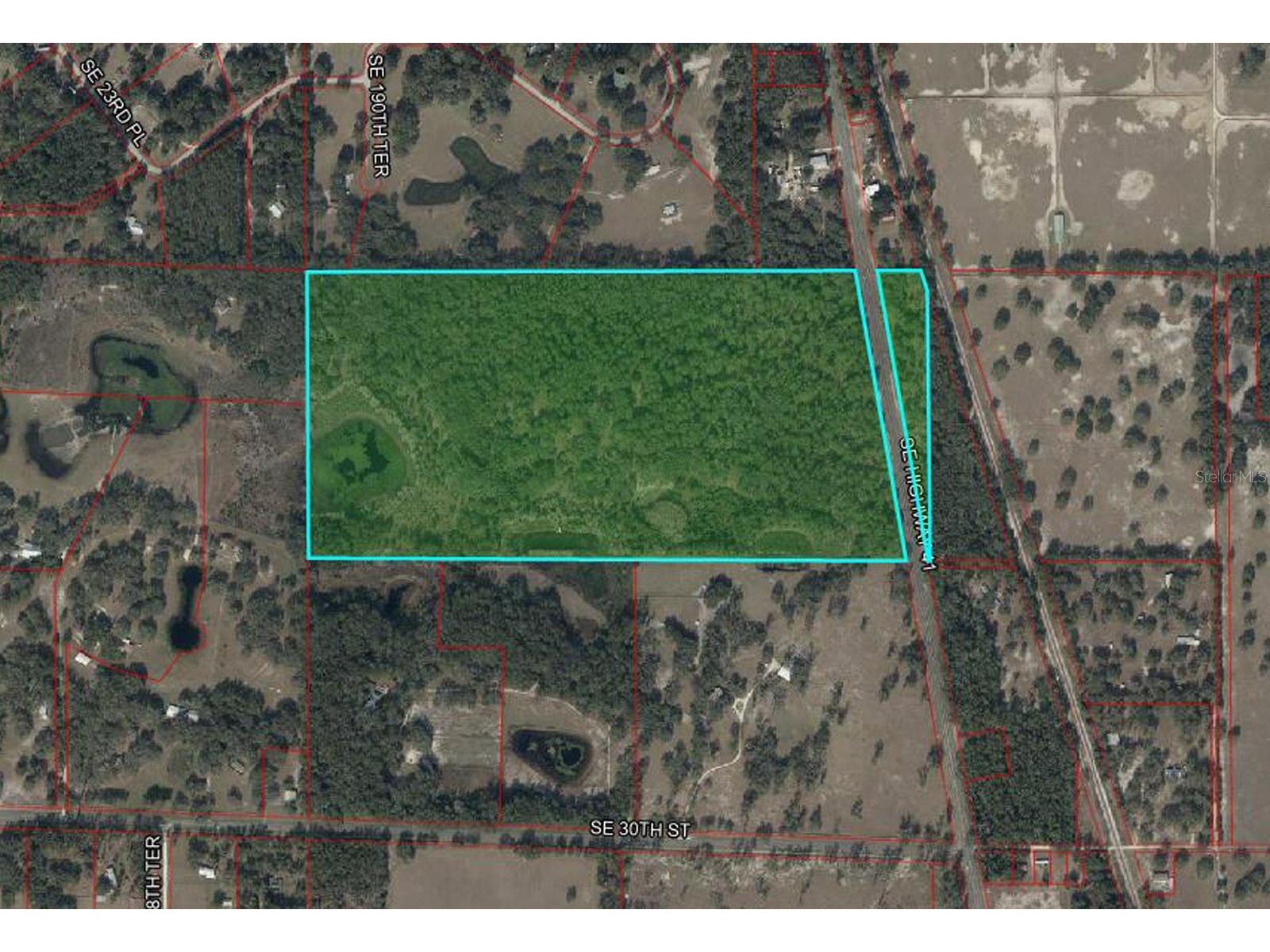 2650 SE Highway 41 Morriston FL 32668 OM722593 image2