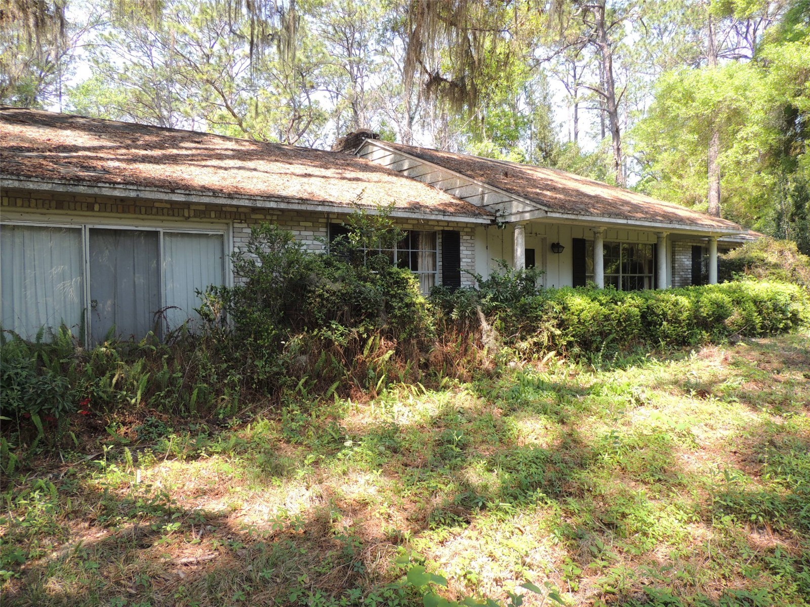 2650 SE Highway 41 Morriston FL 32668 OM722593 image3
