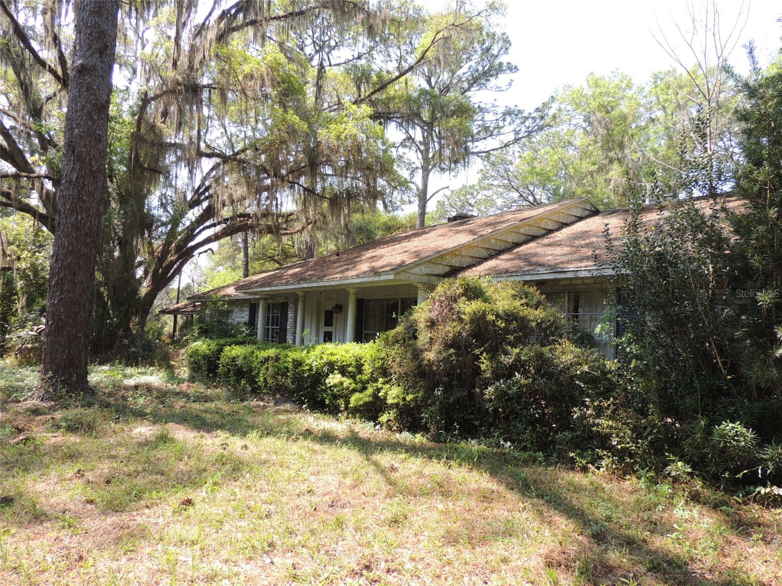2650 SE Highway 41 Morriston FL 32668 OM722593 image4