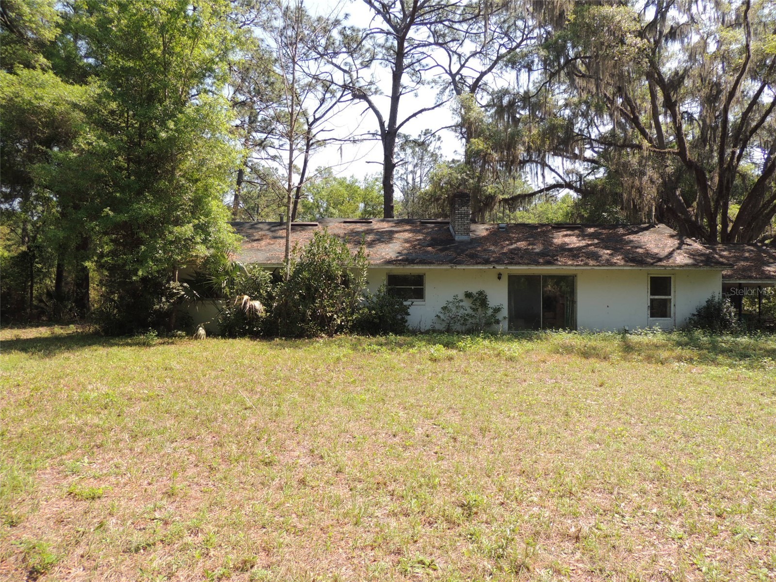 2650 SE Highway 41 Morriston FL 32668 OM722593 image5