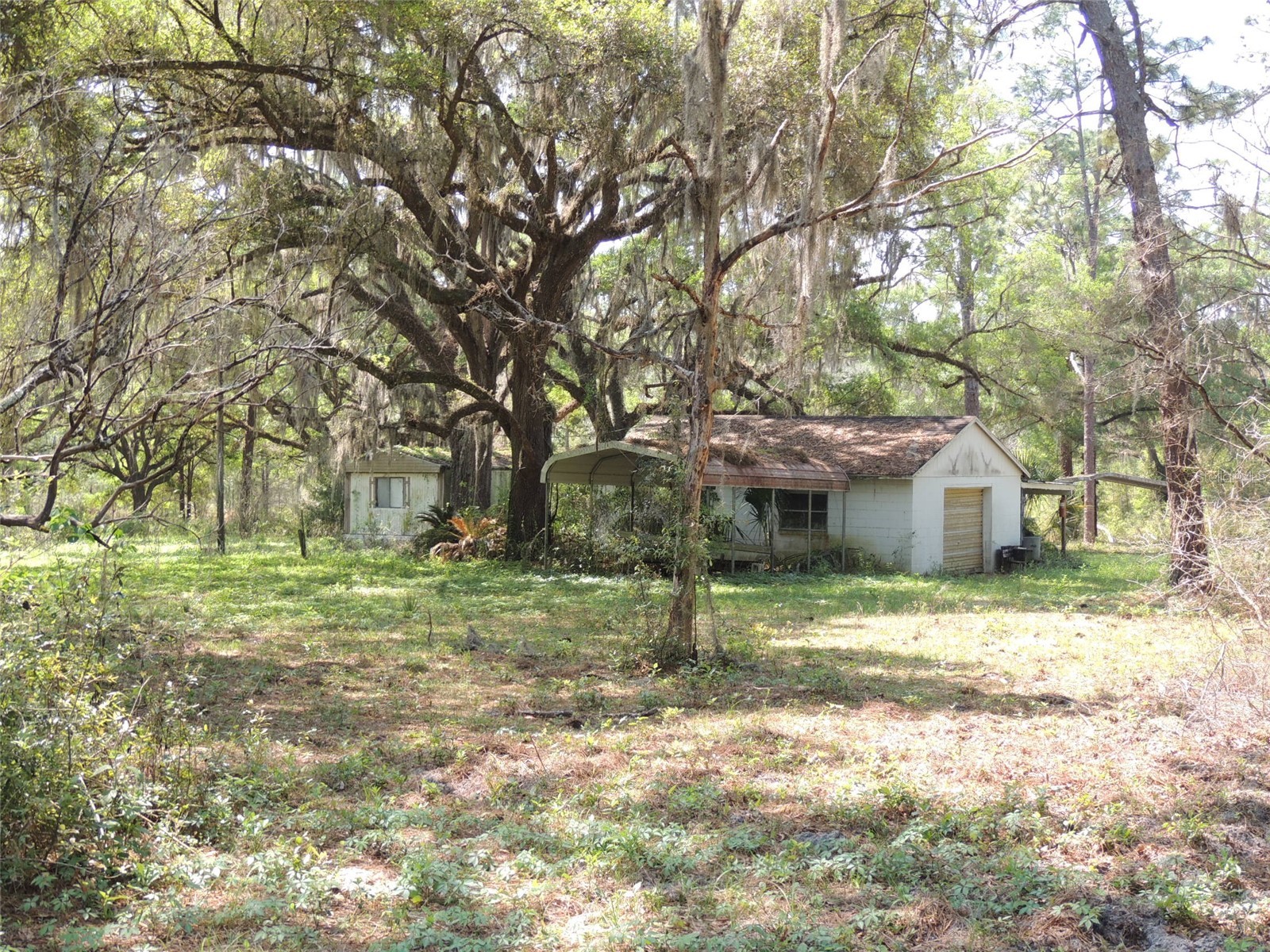 2650 SE Highway 41 Morriston FL 32668 OM722593 image6