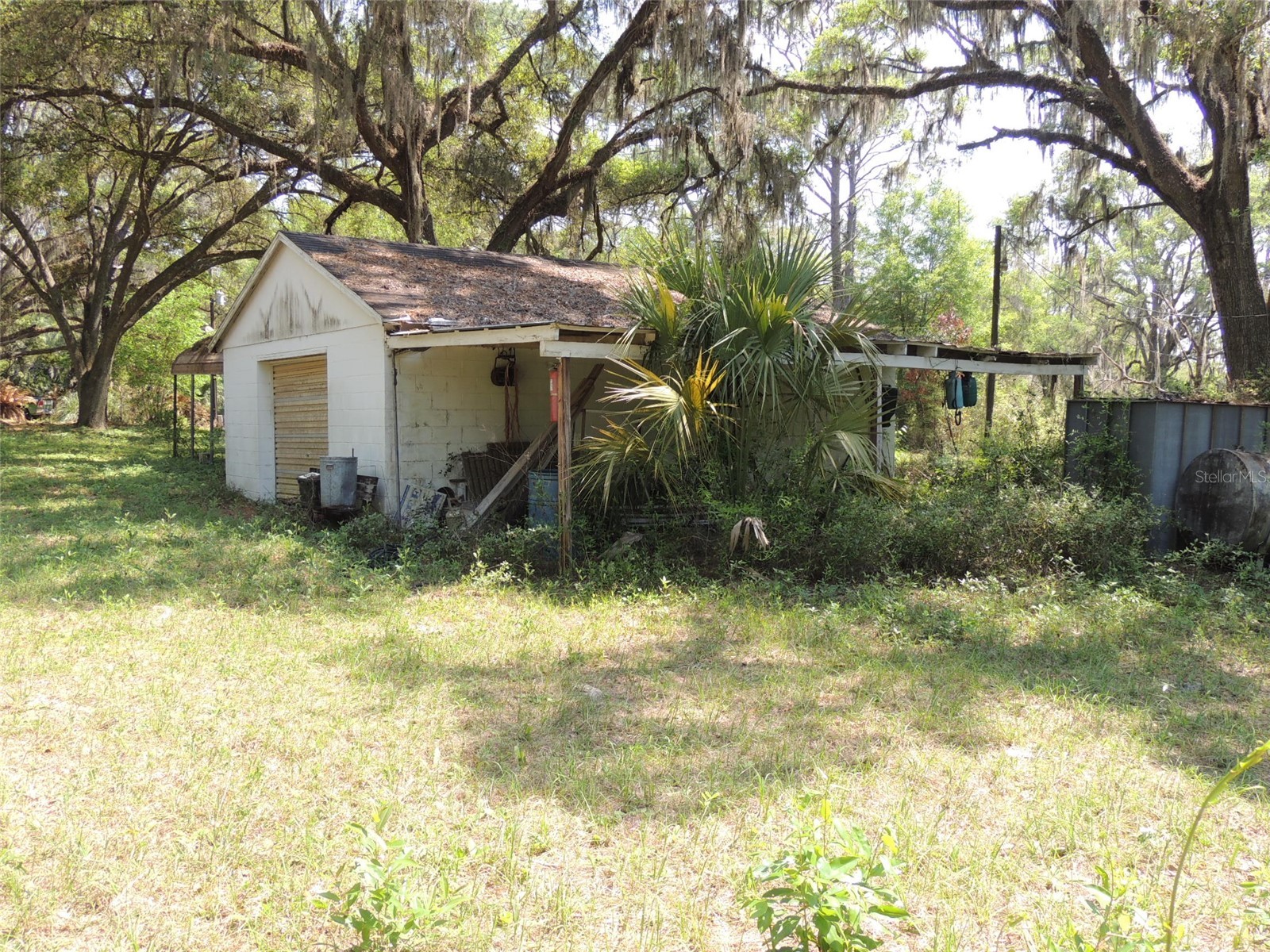 2650 SE Highway 41 Morriston FL 32668 OM722593 image7