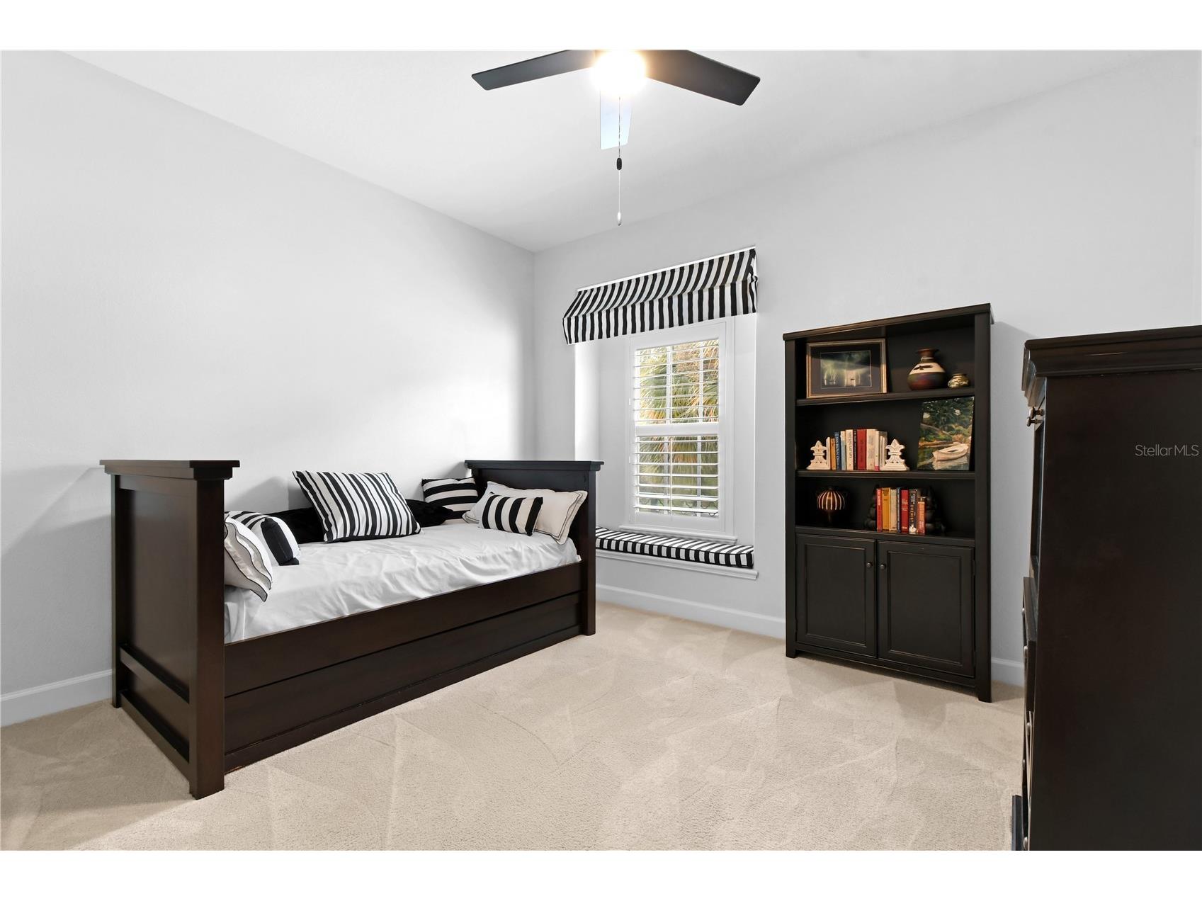 2650 Tanglewood Trail Palm Harbor FL 34685 TB8524163 image19