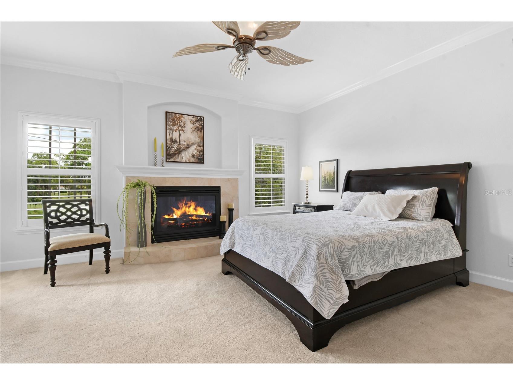 2650 Tanglewood Trail Palm Harbor FL 34685 TB8524163 image23