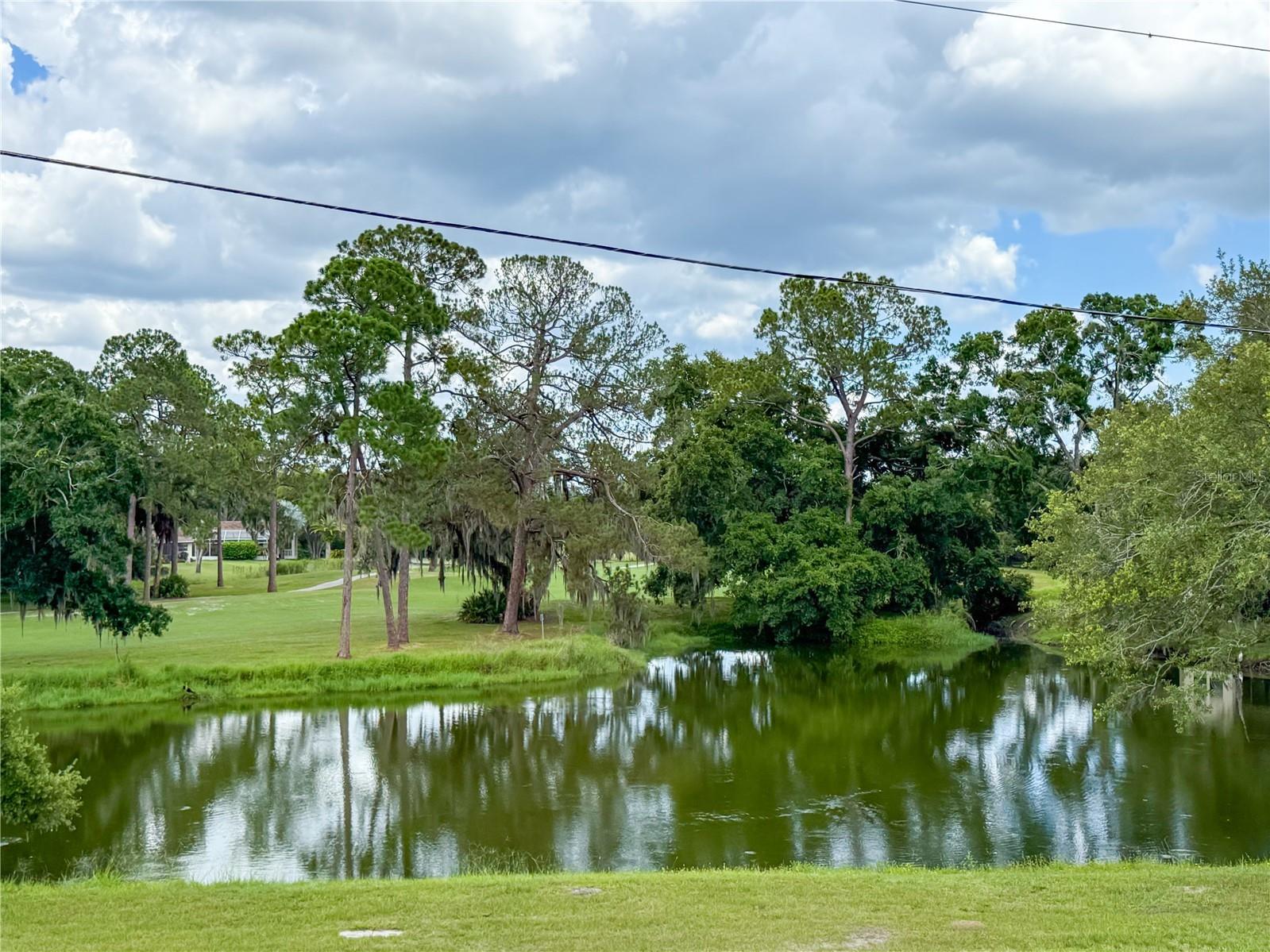 2650 Tanglewood Trail Palm Harbor FL 34685 TB8524163 image32