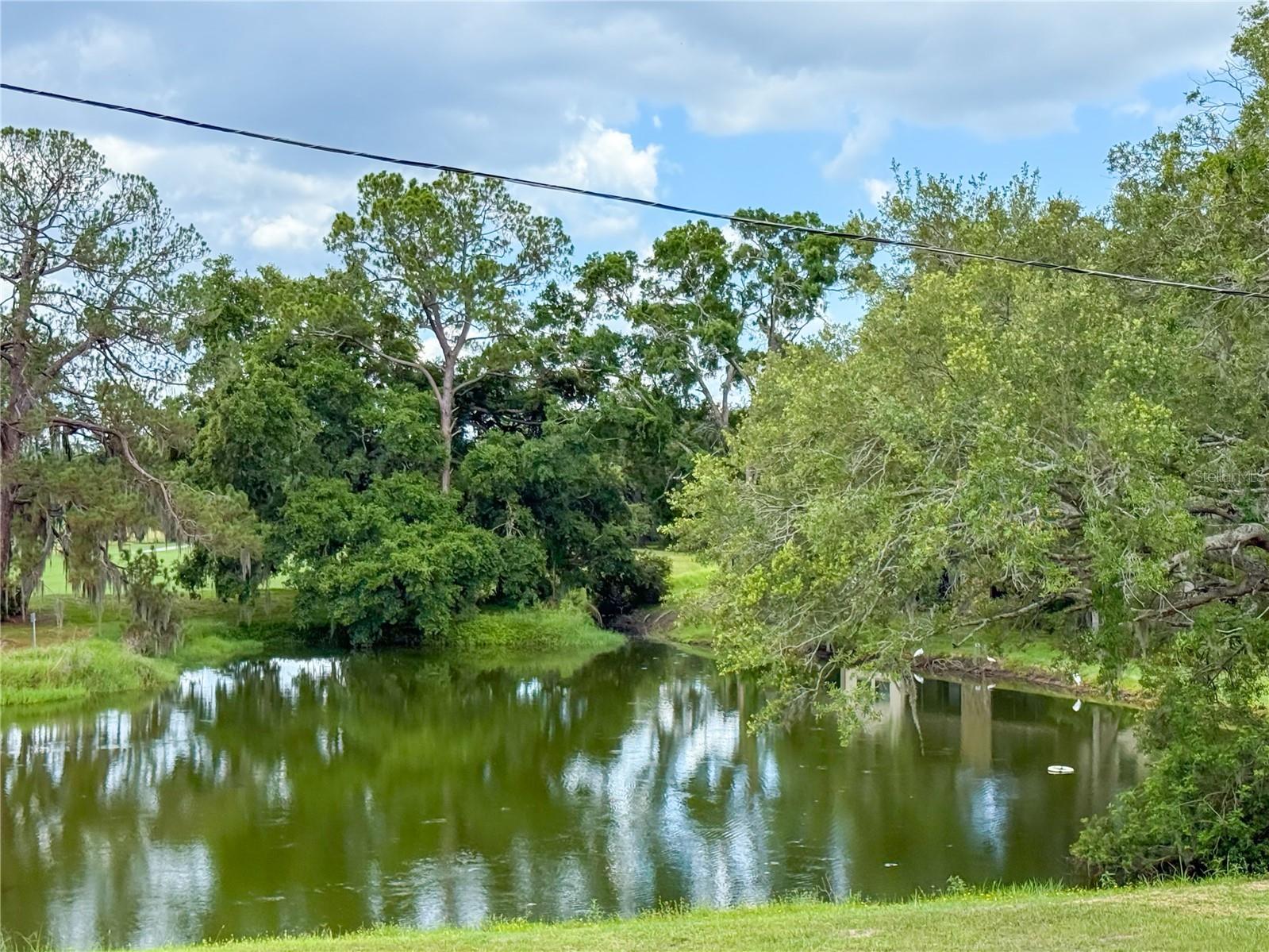 2650 Tanglewood Trail Palm Harbor FL 34685 TB8524163 image33