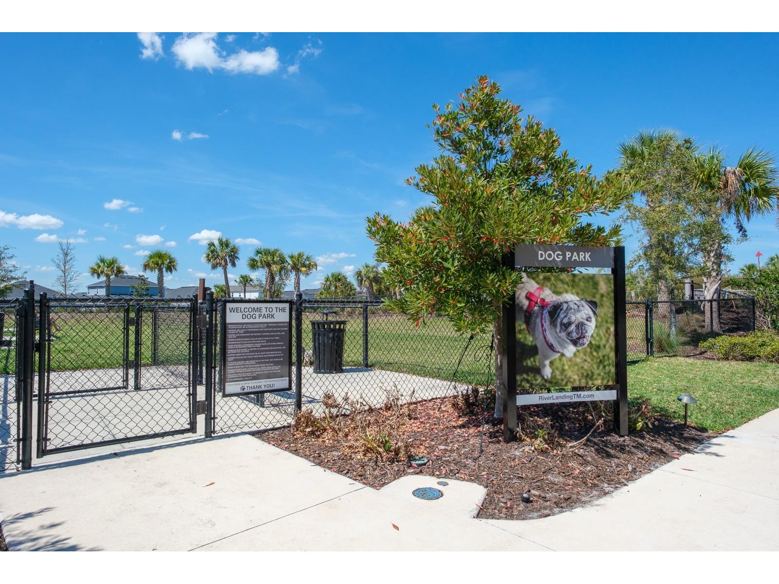 2651 Alluvial Way Wesley Chapel FL 33543 TB8485600 image100