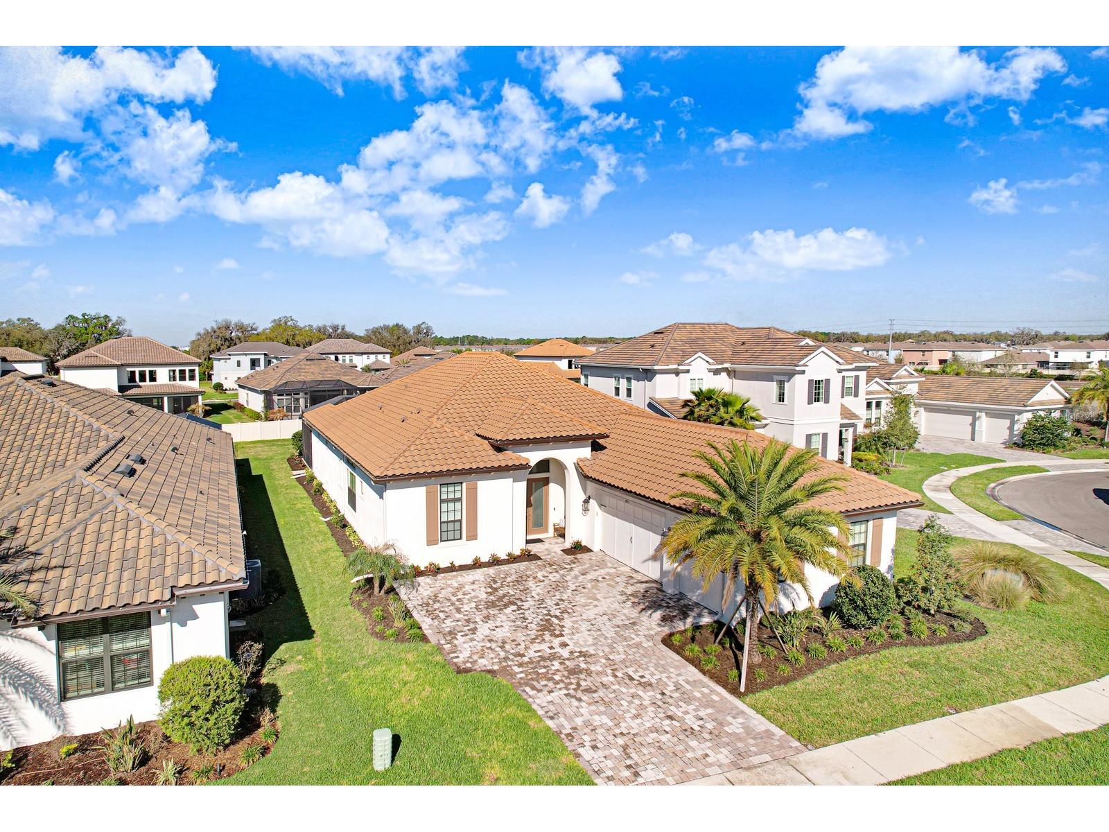 2651 Alluvial Way Wesley Chapel FL 33543 TB8485600 image2