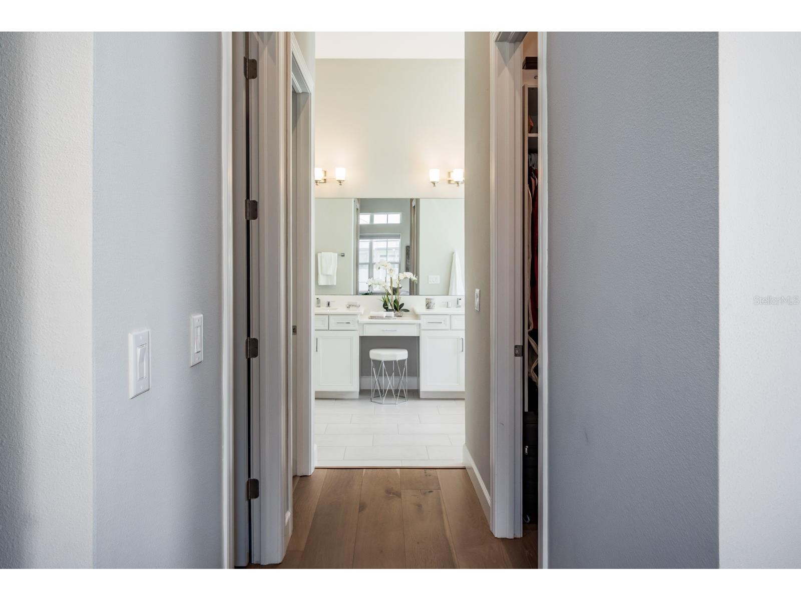 2651 Alluvial Way Wesley Chapel FL 33543 TB8485600 image37