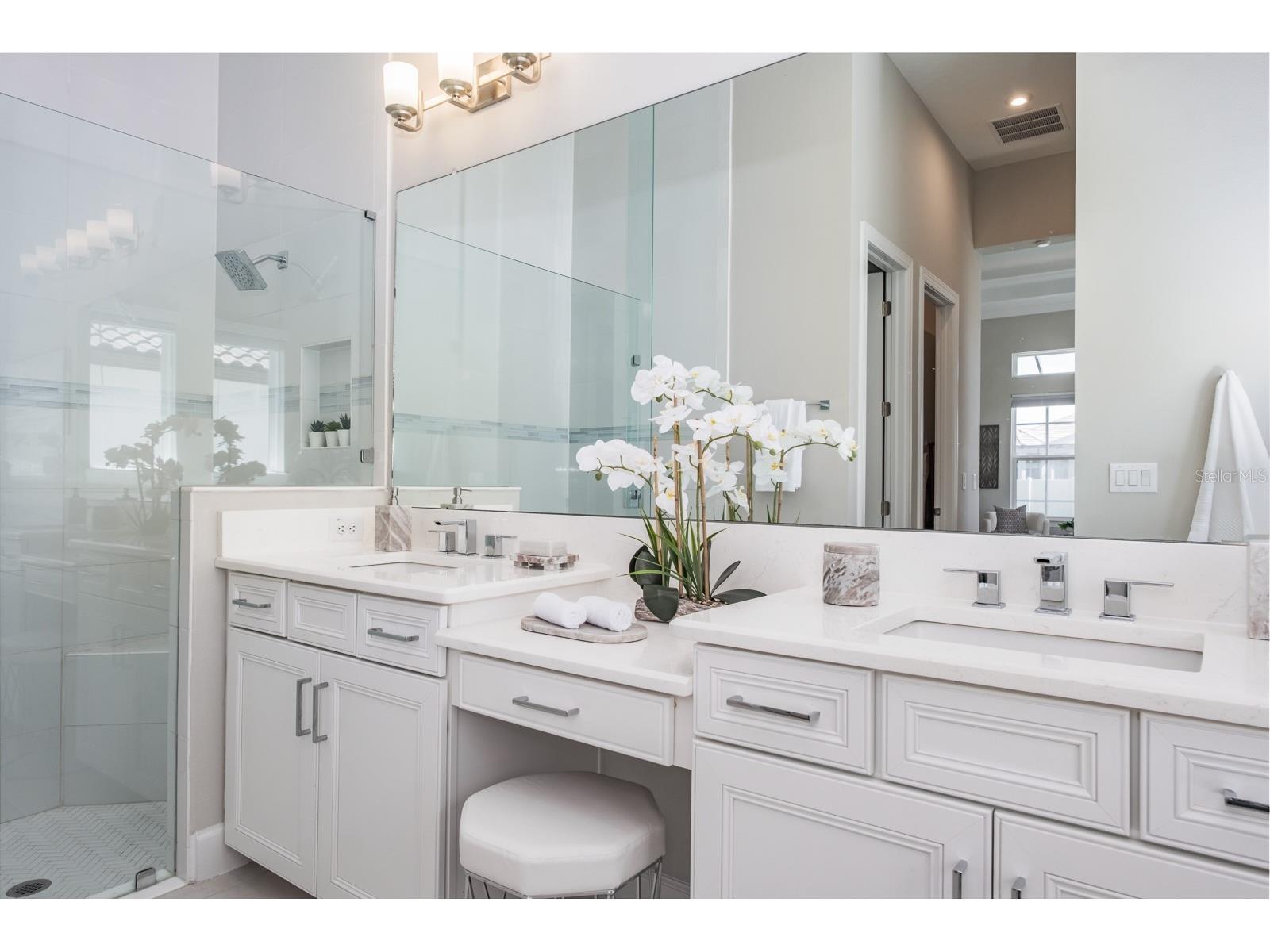 2651 Alluvial Way Wesley Chapel FL 33543 TB8485600 image39