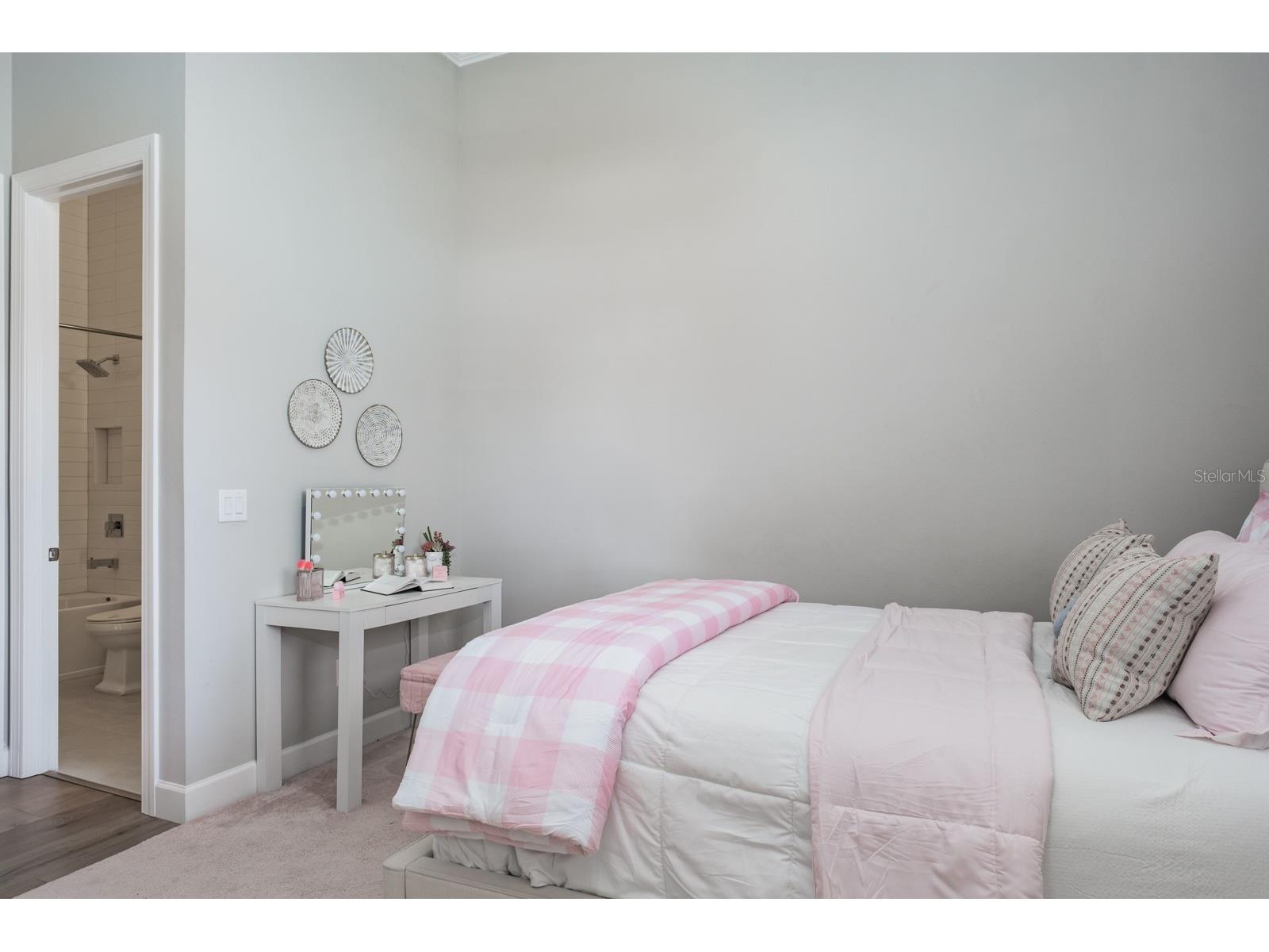 2651 Alluvial Way Wesley Chapel FL 33543 TB8485600 image46