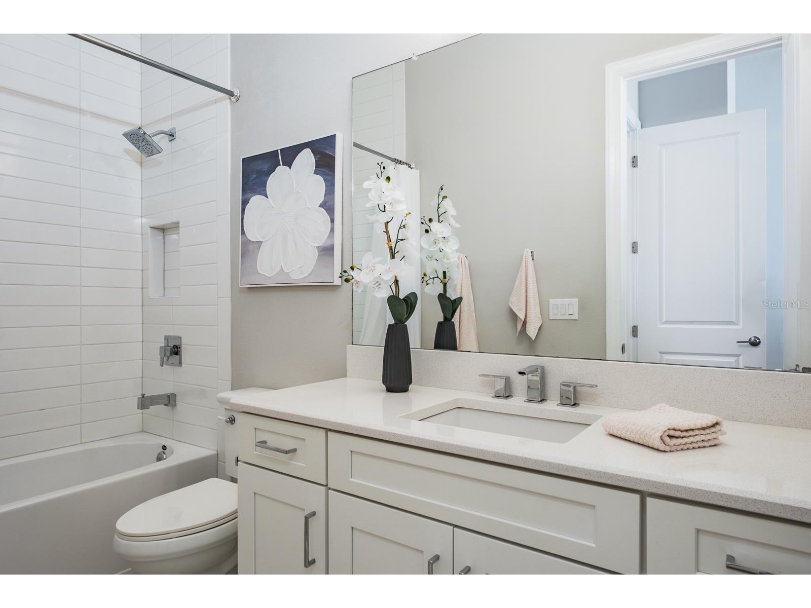 2651 Alluvial Way Wesley Chapel FL 33543 TB8485600 image47