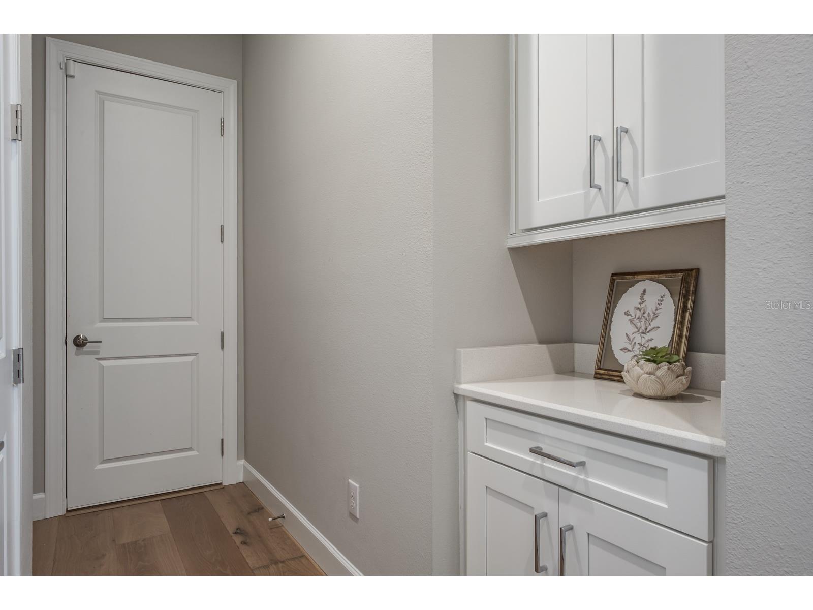 2651 Alluvial Way Wesley Chapel FL 33543 TB8485600 image48