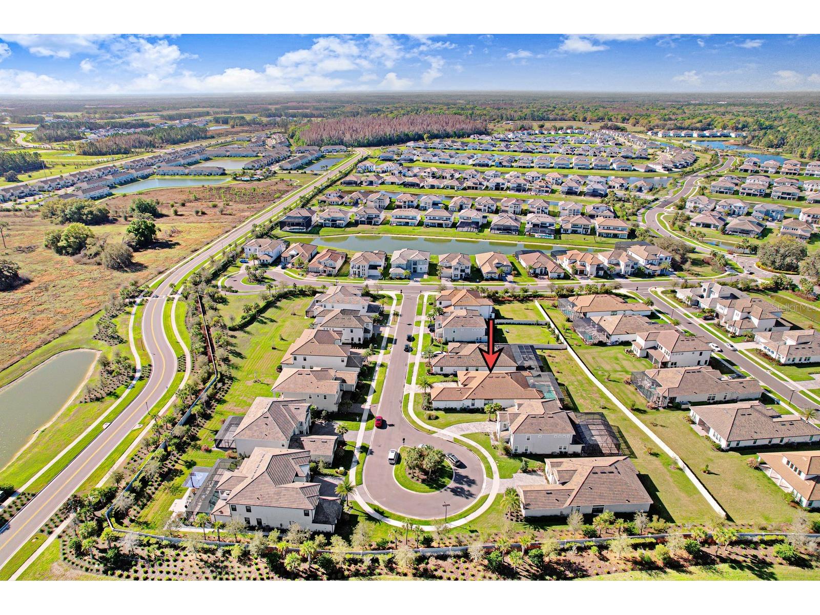 2651 Alluvial Way Wesley Chapel FL 33543 TB8485600 image80