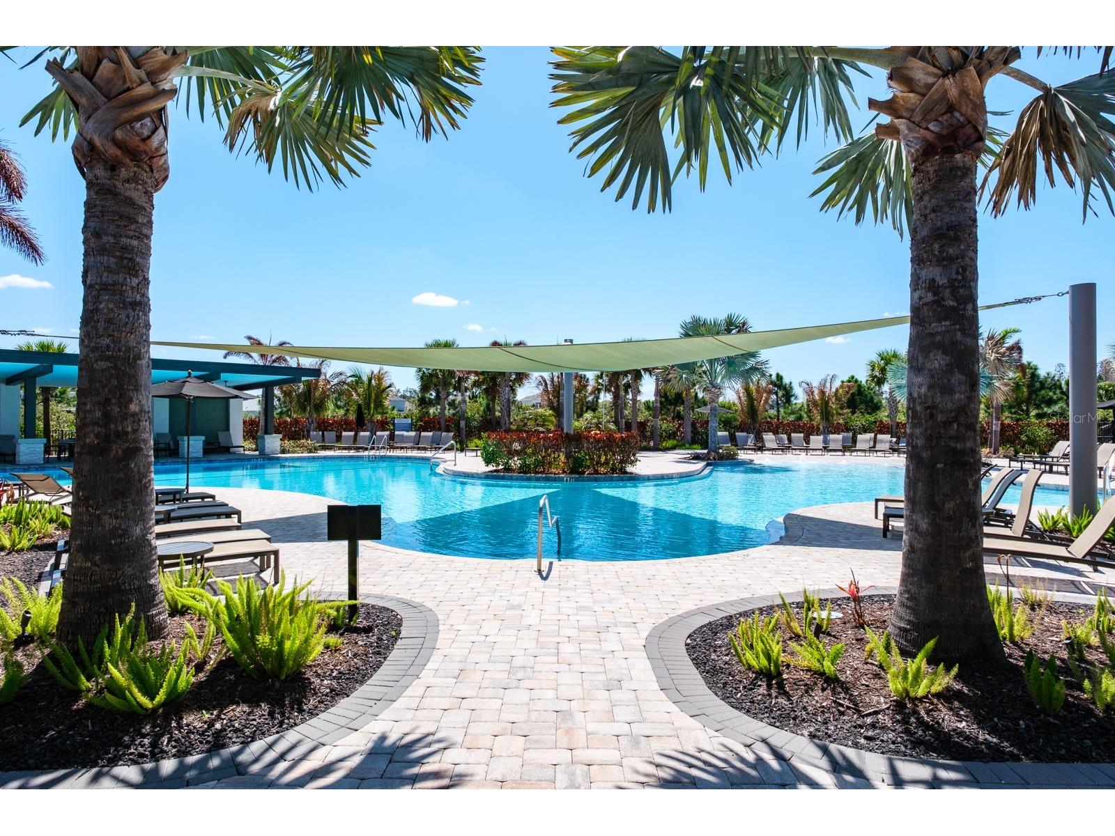 2651 Alluvial Way Wesley Chapel FL 33543 TB8485600 image83