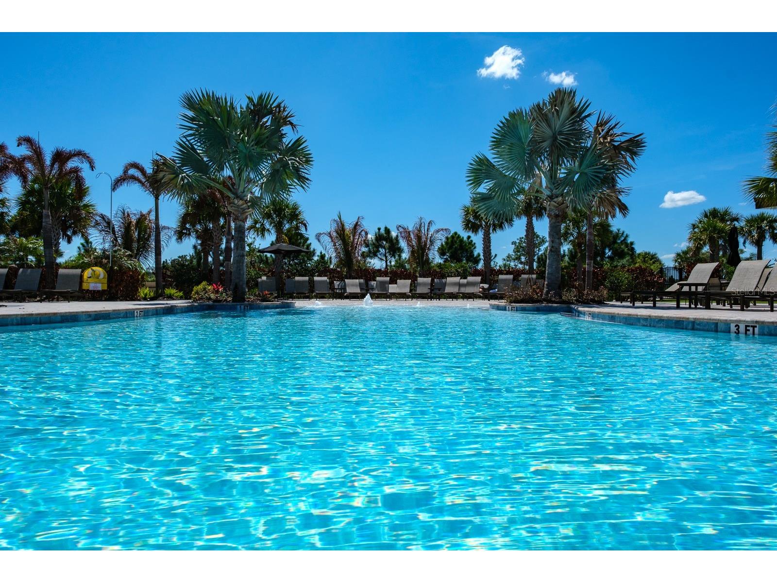 2651 Alluvial Way Wesley Chapel FL 33543 TB8485600 image84