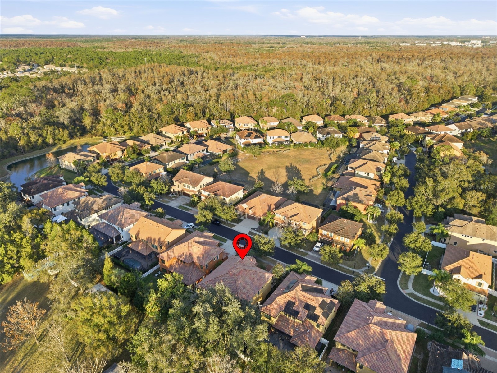 2651 Calvano Drive Land O Lakes FL 34639 TB8469025 image37