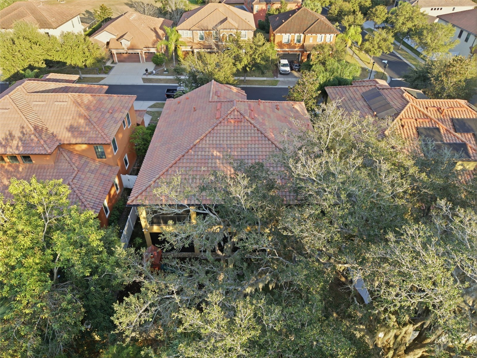 2651 Calvano Drive Land O Lakes FL 34639 TB8469025 image41