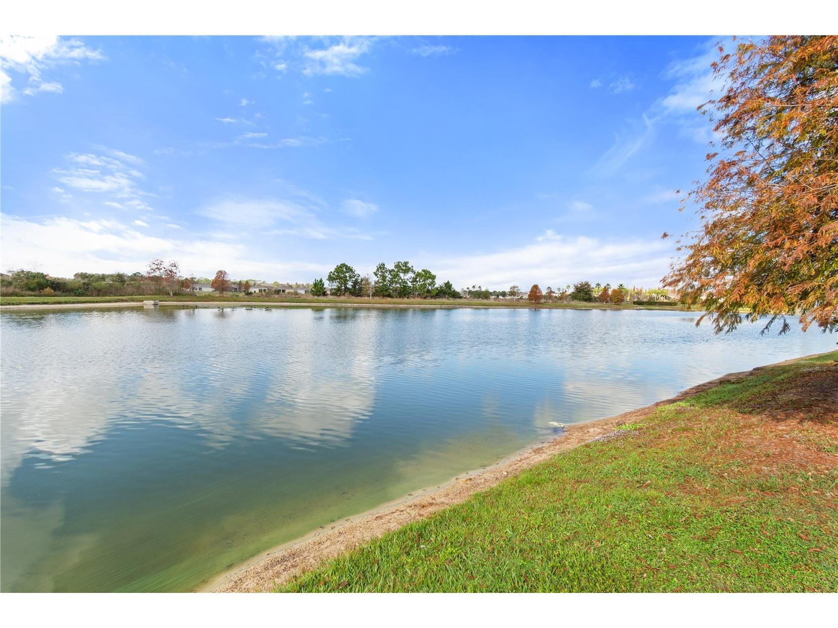 2651 Grandbury Grove Road Lakeland FL 33811 L4958127 image39