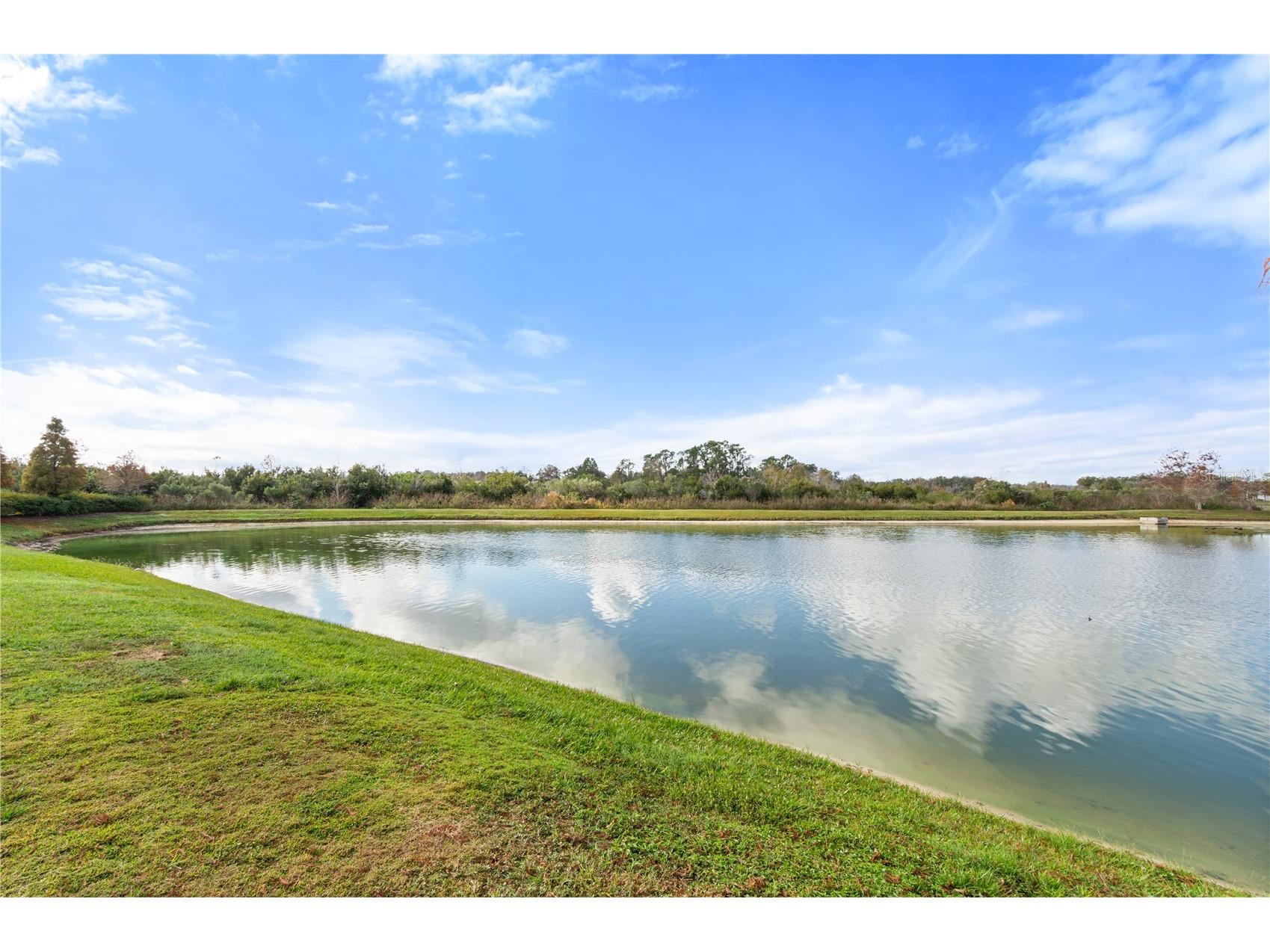 2651 Grandbury Grove Road Lakeland FL 33811 L4958127 image40
