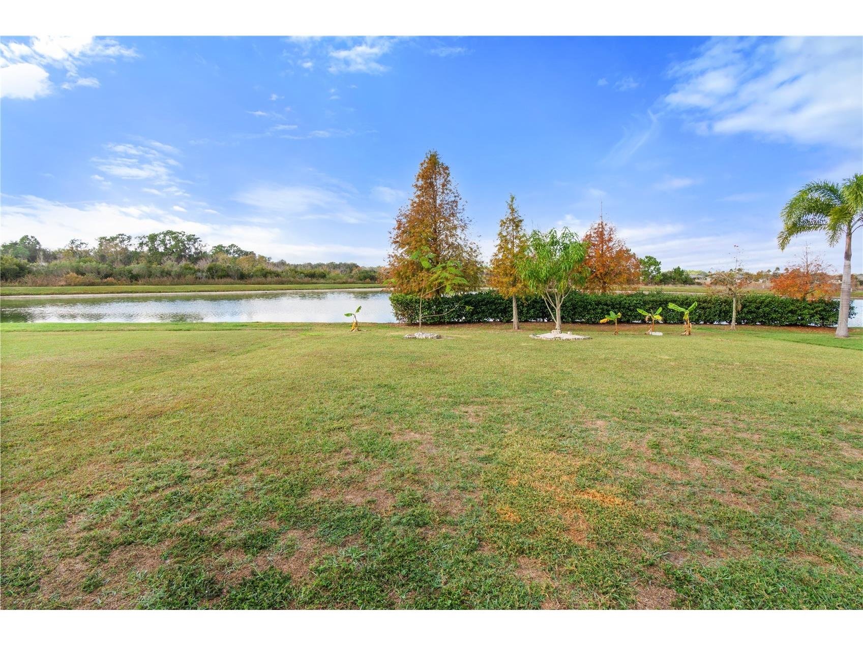2651 Grandbury Grove Road Lakeland FL 33811 L4958127 image41