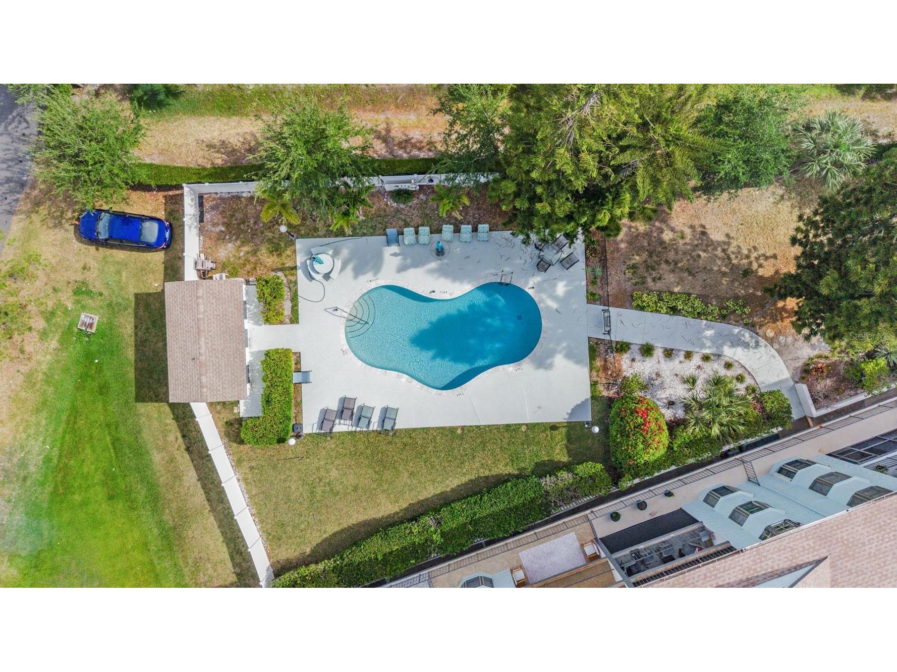 2651 Michael Place #102 Dunedin FL 34698 TB8505856 image7