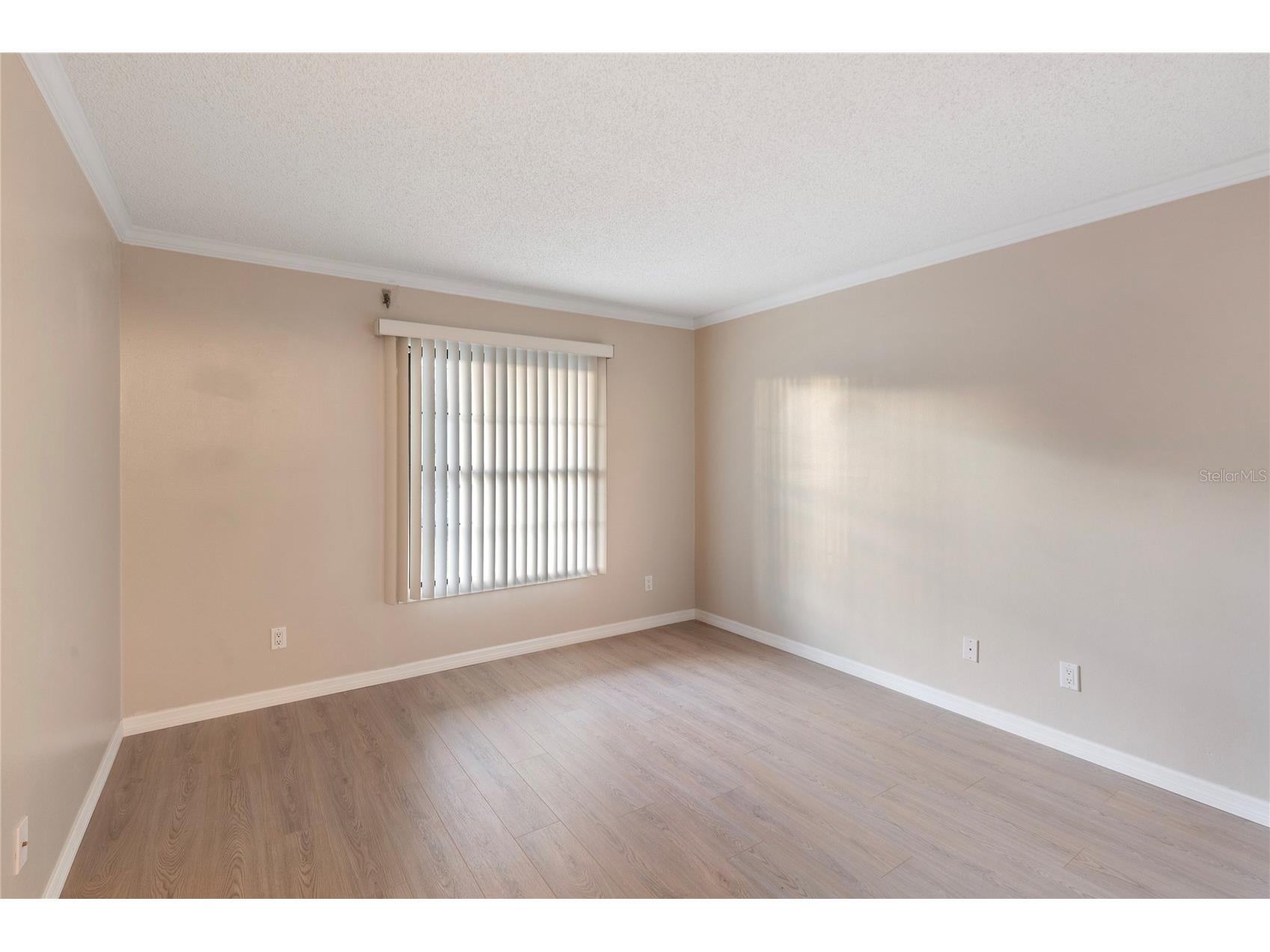 2651 Michael Place #104 Dunedin FL 34698 TB8508359 image21