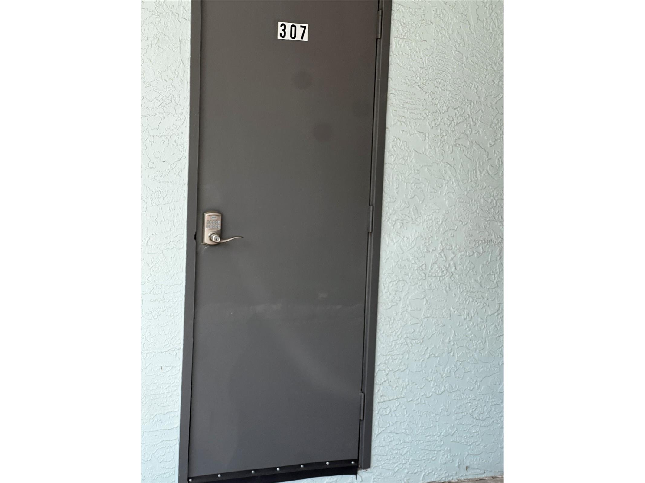 2651 Michael Place #307 Dunedin FL 34698 TB8499437 image19